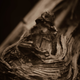Illustration for article titled A Bog is a Bog